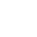 icon-1